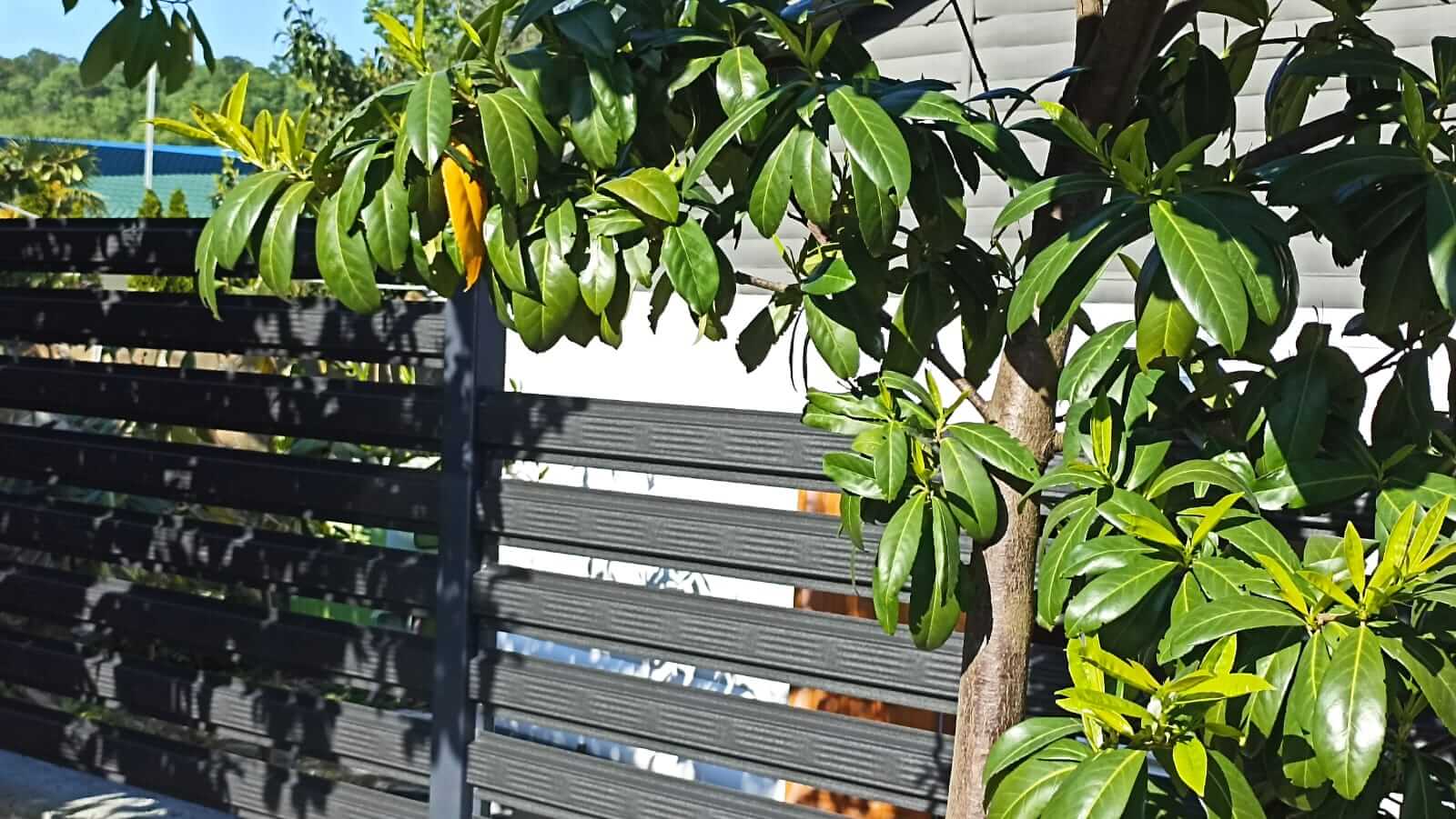 Забор из штакетника 90м RAL7024/7024 Серый Графит фото6 в Славгороде