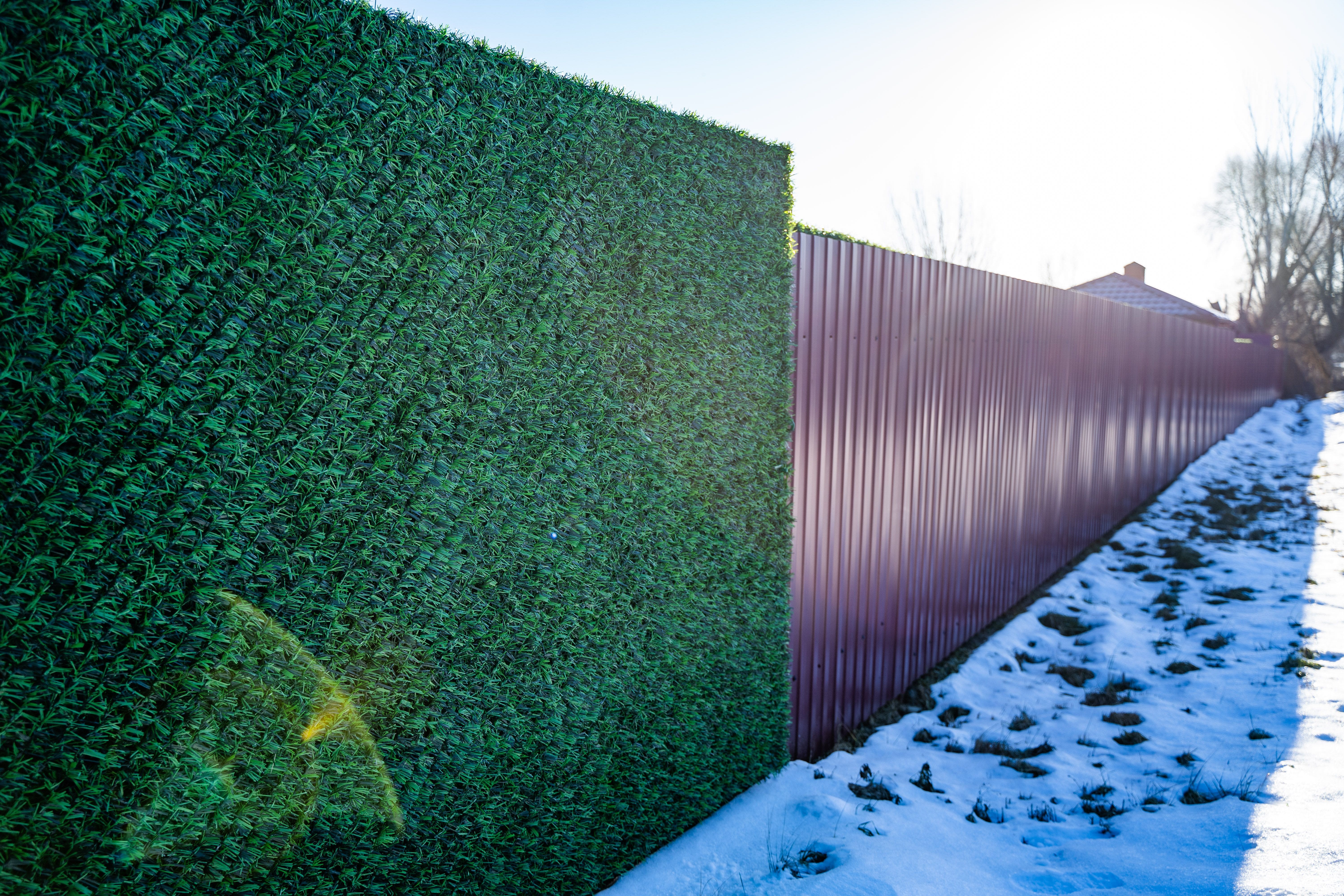 Вечнозеленый забор Grass Fence рулон 2м фото 11 в Славгороде