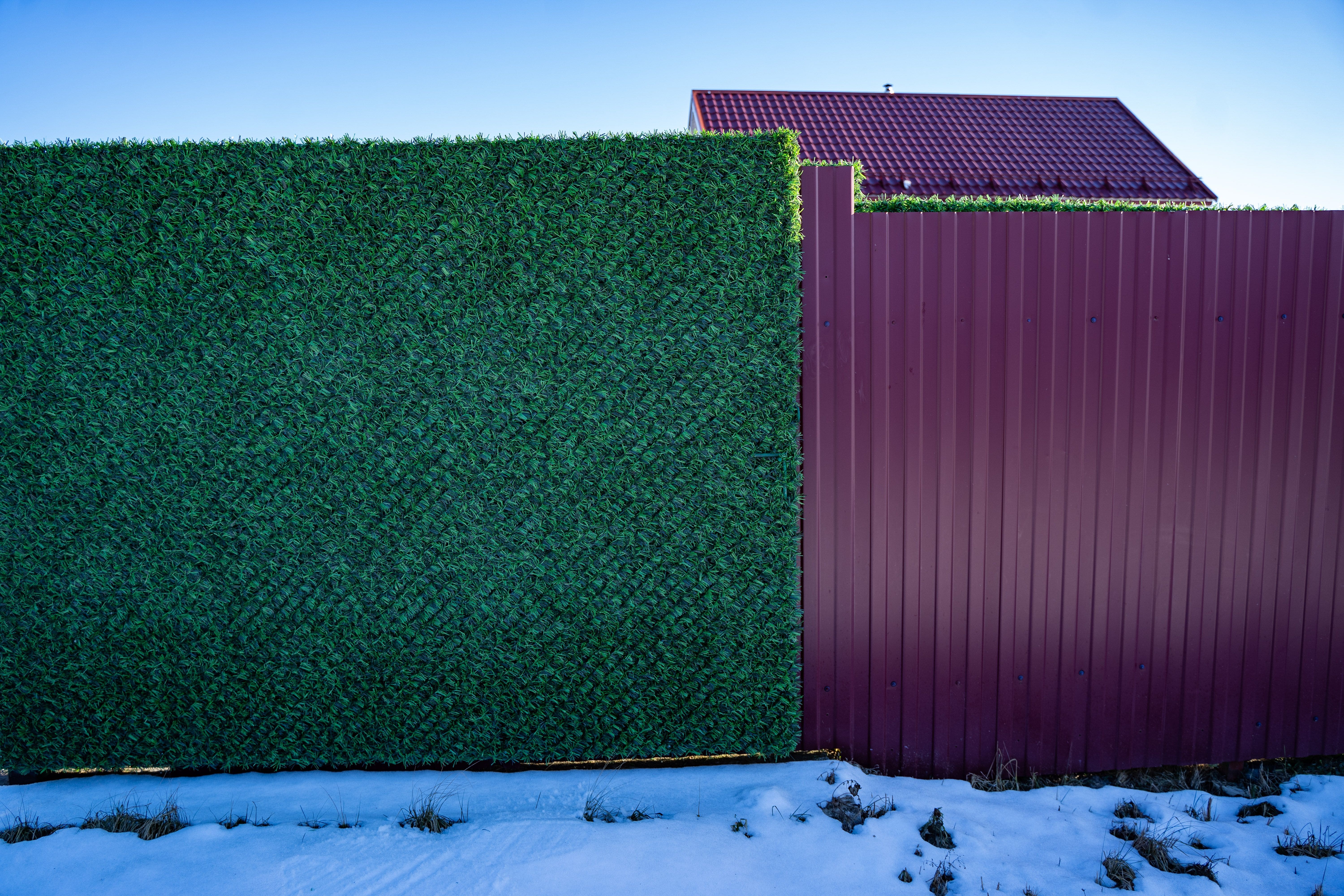 Вечнозеленый забор Grass Fence рулон 2м фото 2 в Славгороде