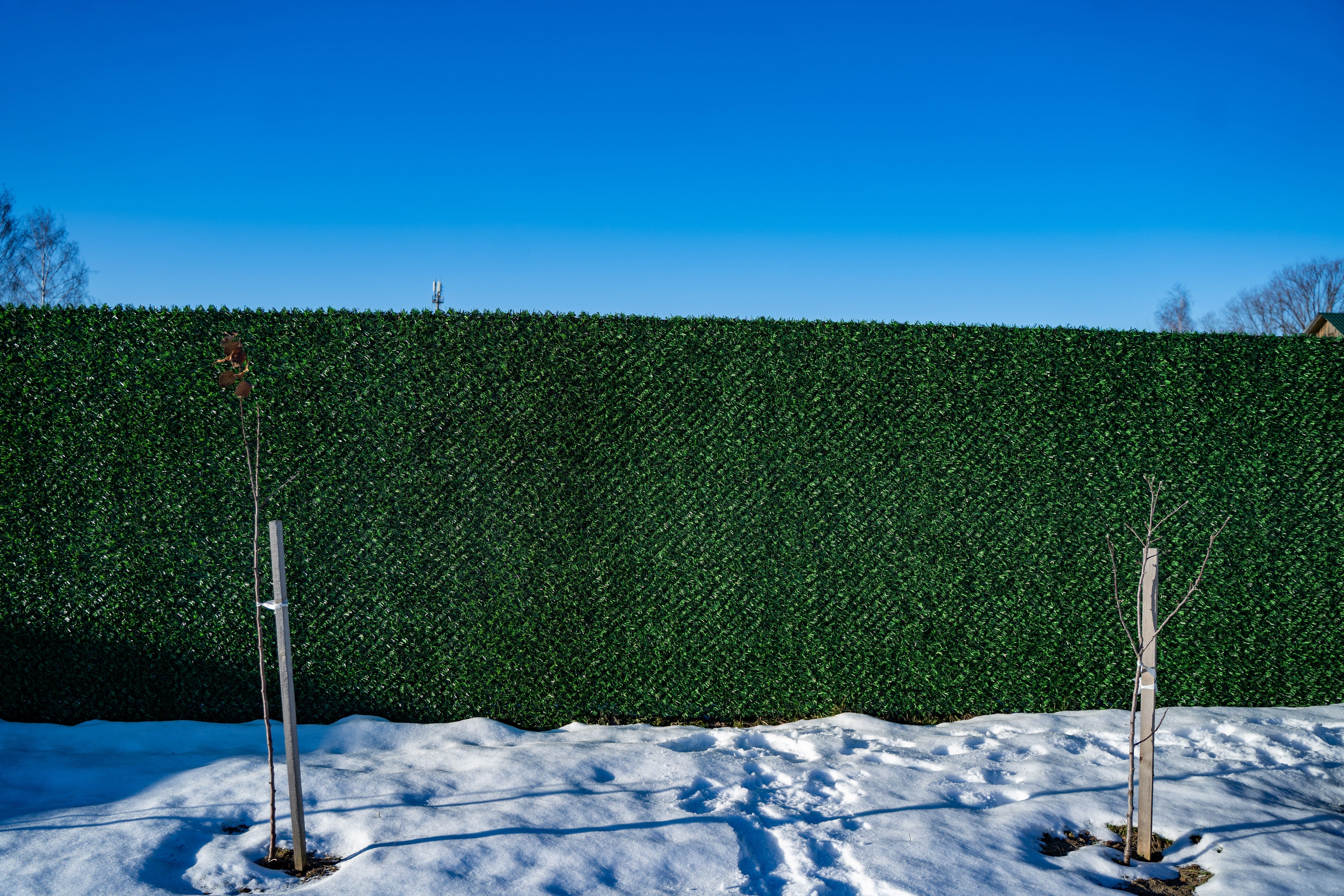 Вечнозеленый забор Grass Fence рулон 2м фото 8 в Славгороде